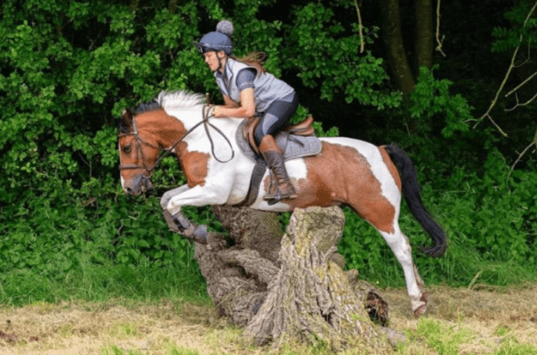 The Design and Function of Modern Saddles