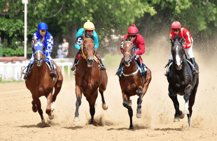 The Different Types of Horse Races Explained